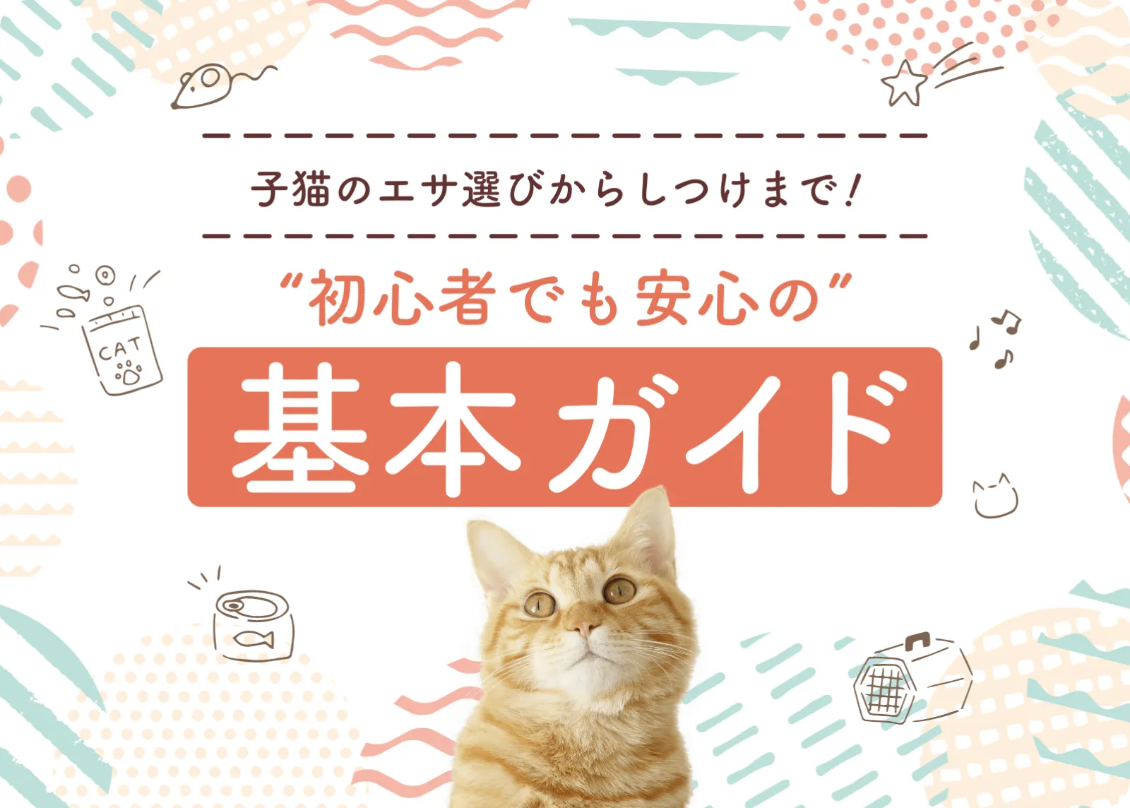 子猫のエサ選びからしつけまで！初心者でも安心の基本ガイド