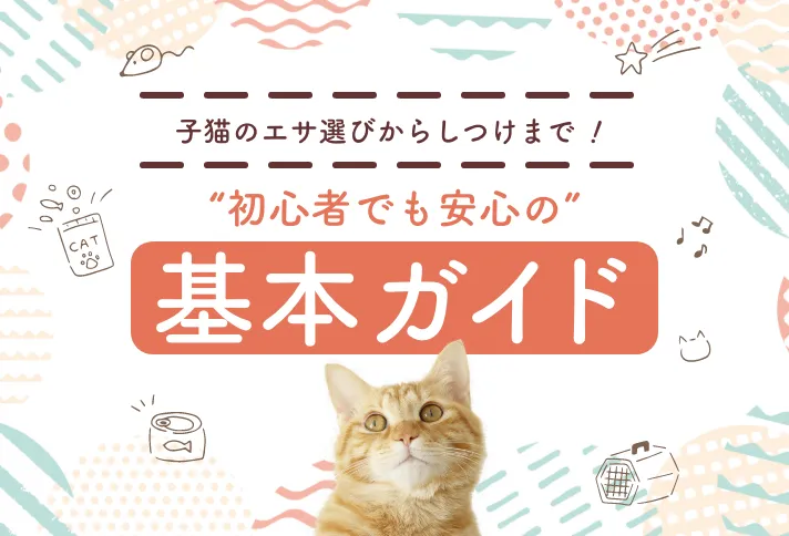 子猫のエサ選びからしつけまで！初心者でも安心の基本ガイドサムネイル